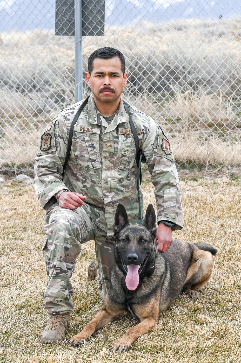 75th Security Forces Squadron welcomes new MWDs