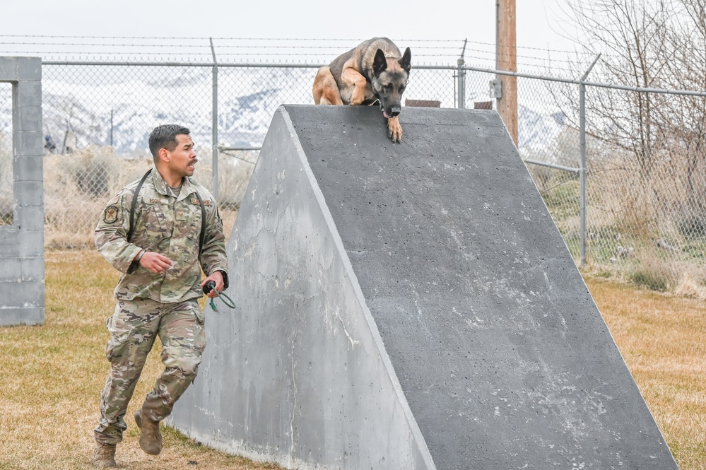 75th Security Forces Squadron welcomes new MWDs