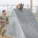 75th Security Forces Squadron welcomes new MWDs