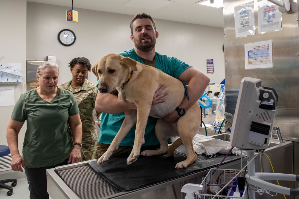 Ellsworth Vet Clinic supports military members