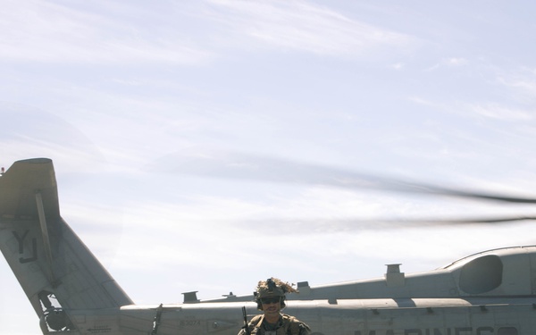 V25 TRAP Course