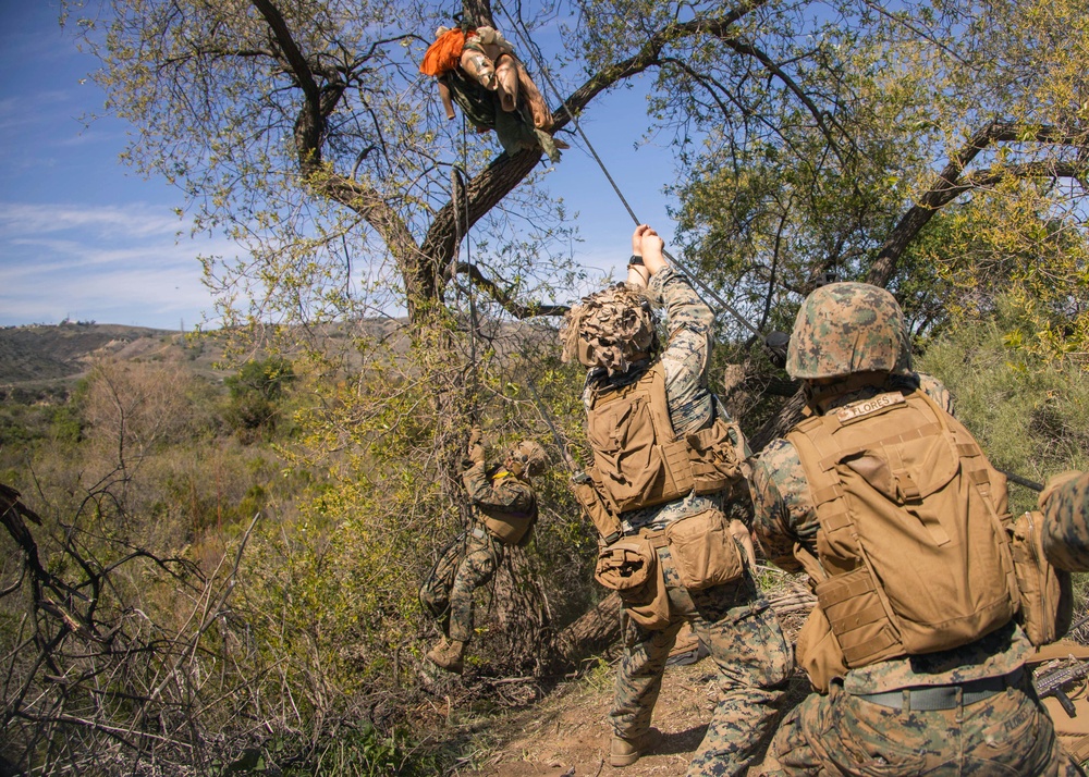 V25 TRAP Course