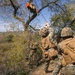 V25 TRAP Course