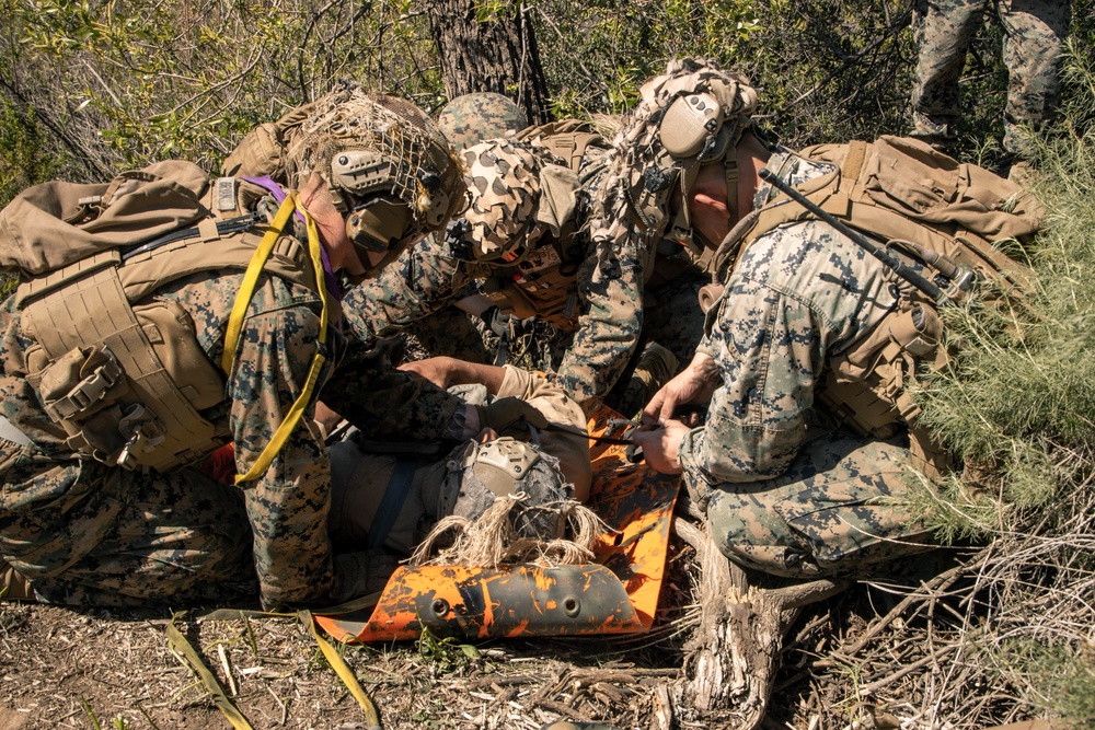 V25 TRAP Course