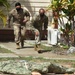 TCCC- Tactical Combat Casualty Care training