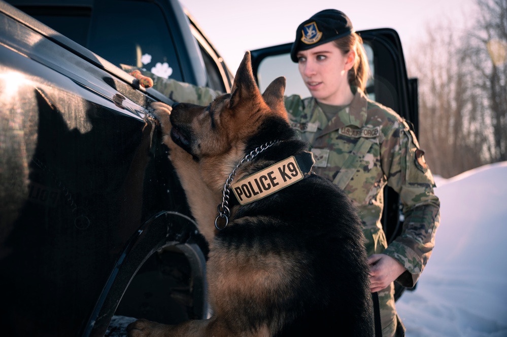 DVIDS Images National K9 Veterans Day [Image 1 of 4]