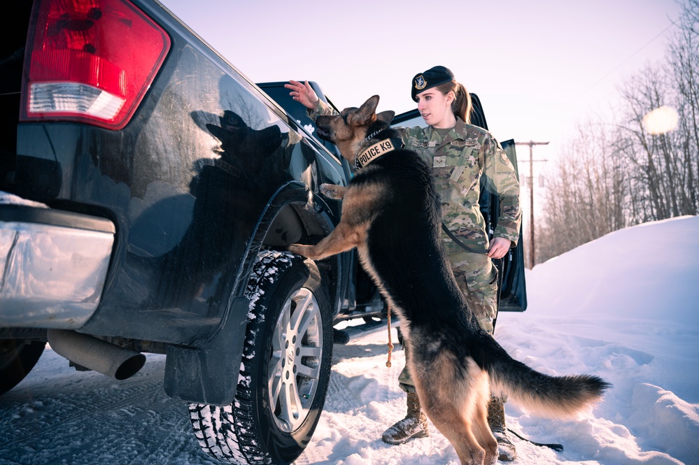 National K9 Veterans Day