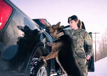 National K9 Veterans Day