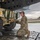 1st Air Cavalry Brigade moves aircraft to Poland 1st Air Cavalry Brigade moves aircraft to Poland