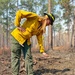 Wildland fire study showcases Fort Stewart's prescribed burn program, captures data