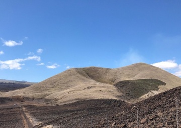 Fuel breaks protect endangered plants in the Keamuku Maneuver Area