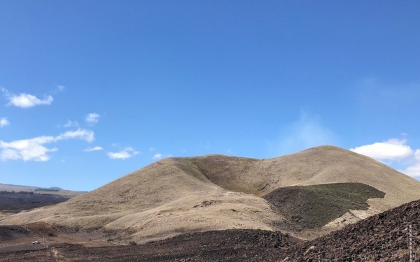 Fuel breaks protect endangered plants in the Keamuku Maneuver Area