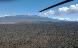 Army stays vigilant for rapid ʻōhiʻa death at Pōhakuloa Training Area