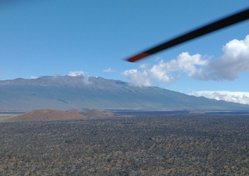 Army stays vigilant for rapid ʻōhiʻa death at Pōhakuloa Training Area
