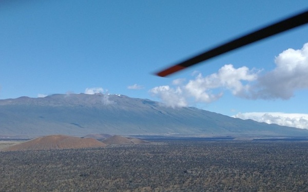 Army stays vigilant for rapid ʻōhiʻa death at Pōhakuloa Training Area