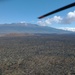 Army stays vigilant for rapid ʻōhiʻa death at Pōhakuloa Training Area