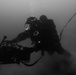 Canadian divers under water for AE22