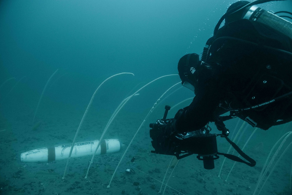 Canadian divers under water for AE22