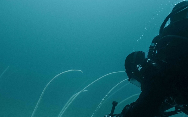 Canadian divers under water for AE22