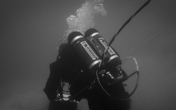 Canadian divers under water for AE22