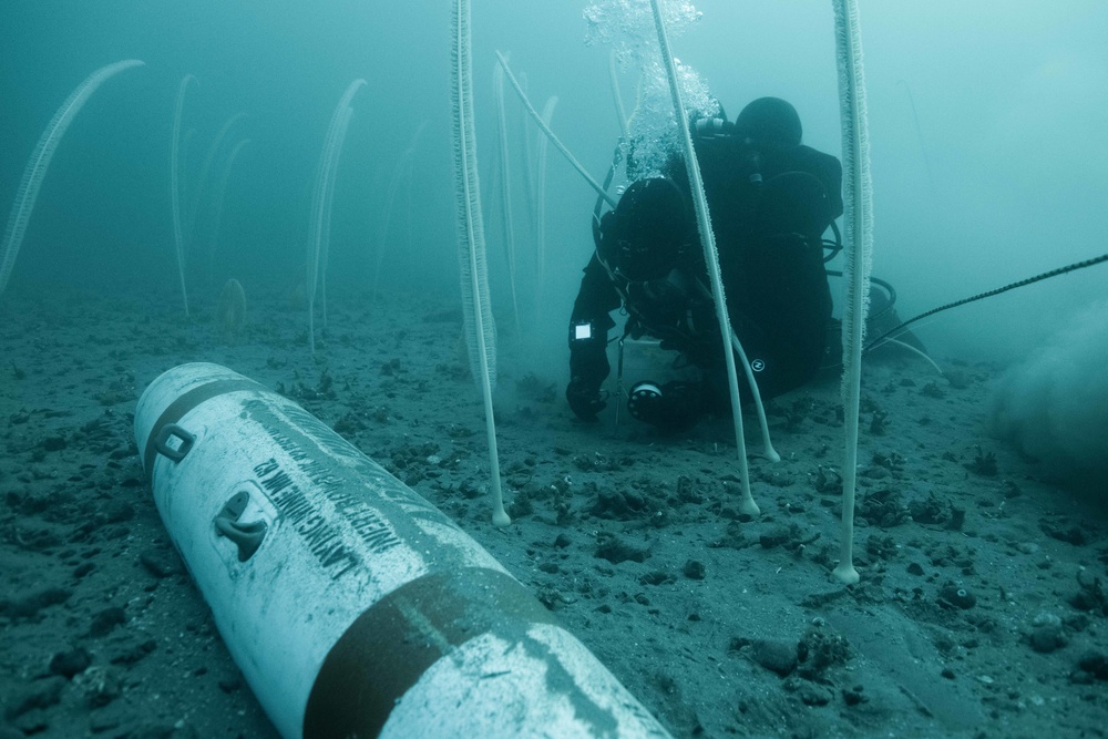 Canadian divers under water for AE22