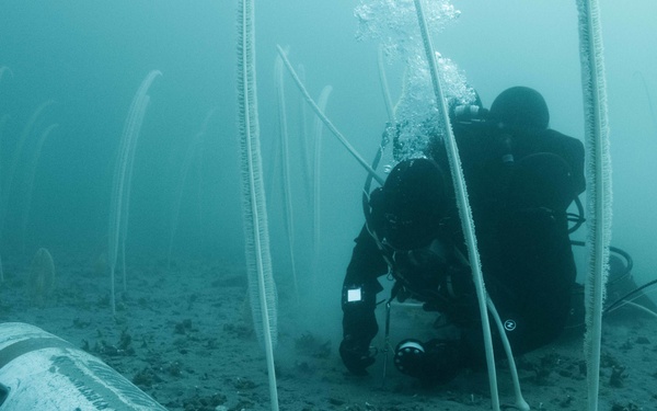 Canadian divers under water for AE22