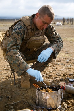 U.S Marines with 1/12 learn foraging during Spartan Fury 22.1