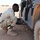 U.S. air advisors strengthen Nigerien defense capabilities