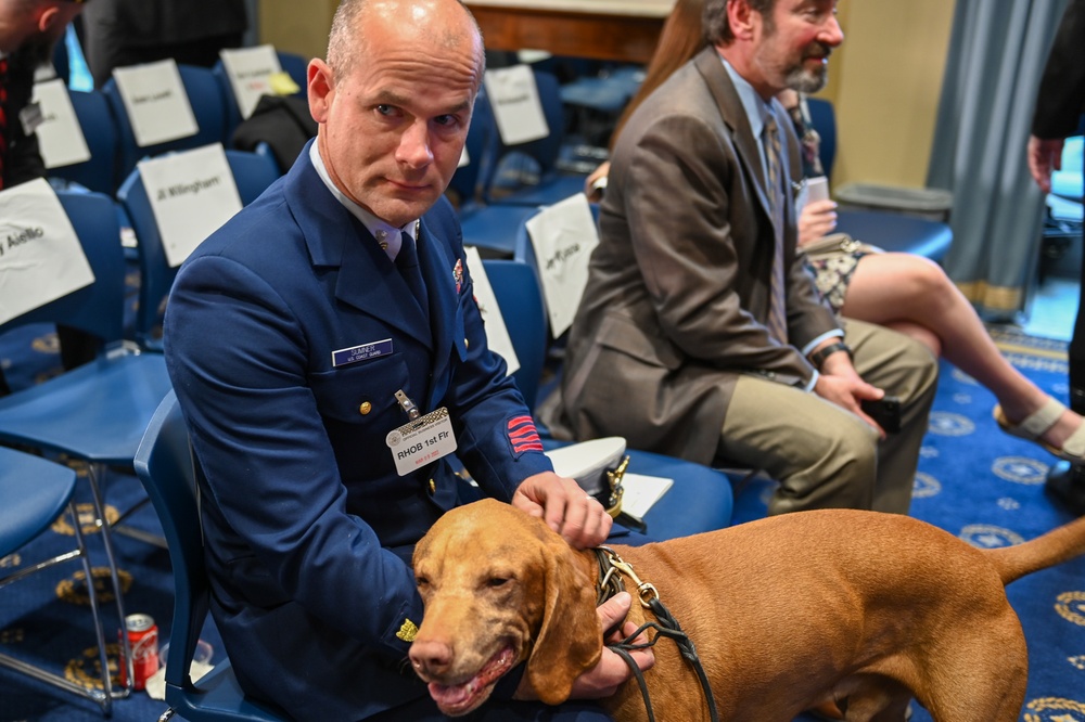 K9 Feco Receives 2022 Animals in War and Peace Distinguished Service Medal
