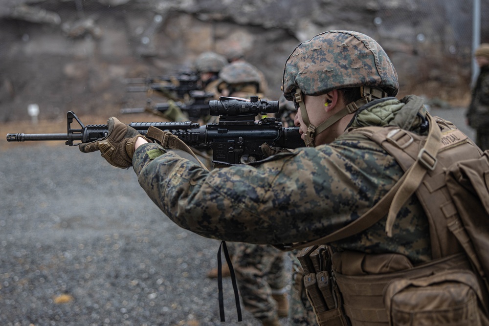 Exercise Cold Response 2022 Live-Fire Range