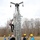 Military Sealift Command Training Center East: Fall Protection