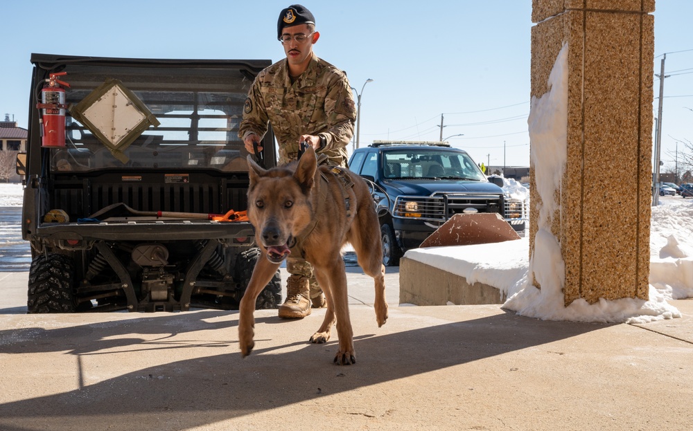 Military Working Dog Handler Certification