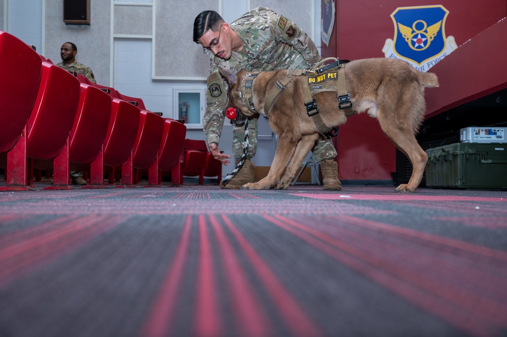 Military Working Dog Handler Certification