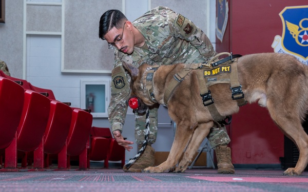 Military Working Dog Handler Certification