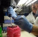 U.S. Army civilian microbiologists safeguard nation against biological warfare agents