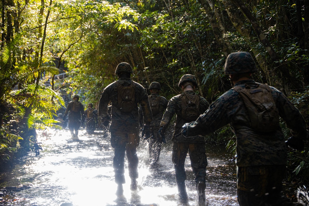 3D MEB Jungle Warfare Training Center endurance course