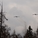 U.S. Air Force B-52H Stratofortress bombers conduct low pass flyovers of the Grafenwoehr Training Area, Germany