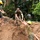 Members of the Armed Forces of the Philippines and U.S. service members combine construction efforts during Balikatan 22