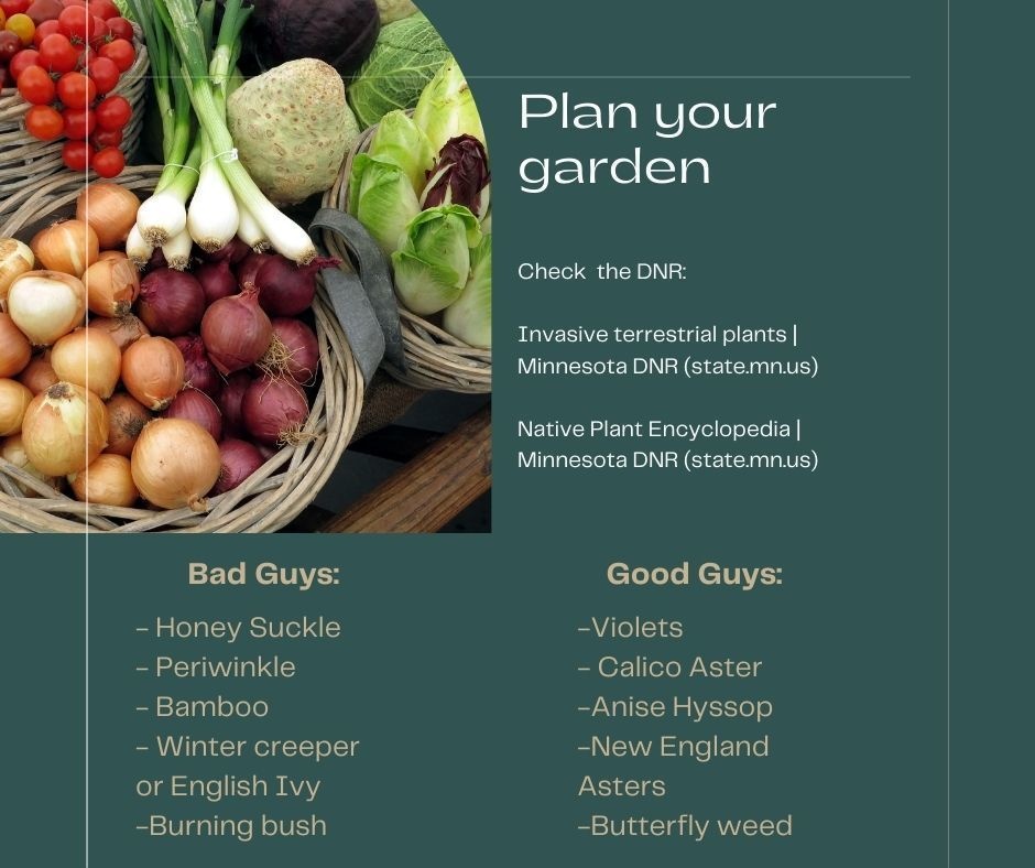 Plan Your Garden