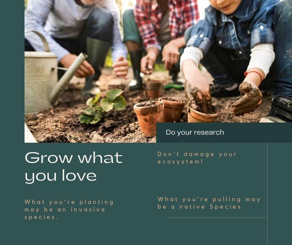 Grow What You Love