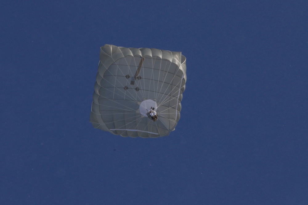 Paratrooper from Below