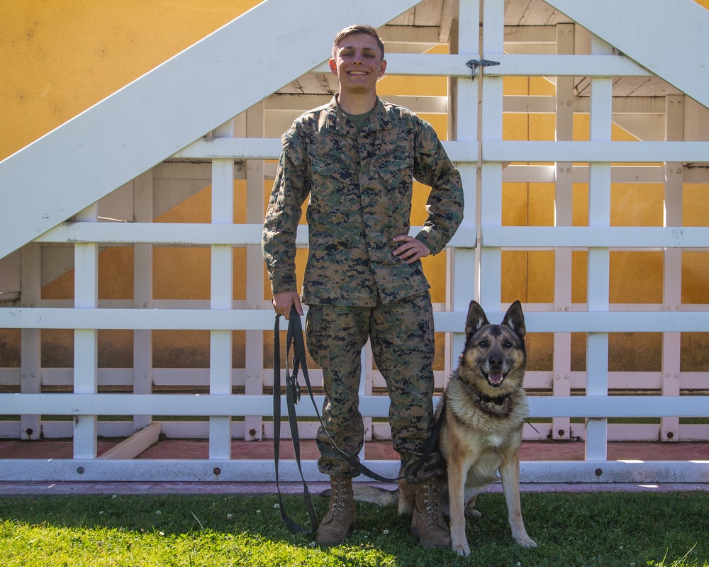 Marine Highlight - Military dog handler