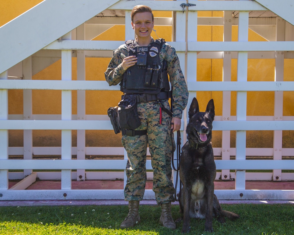 Marine Highlight - Military dog handler