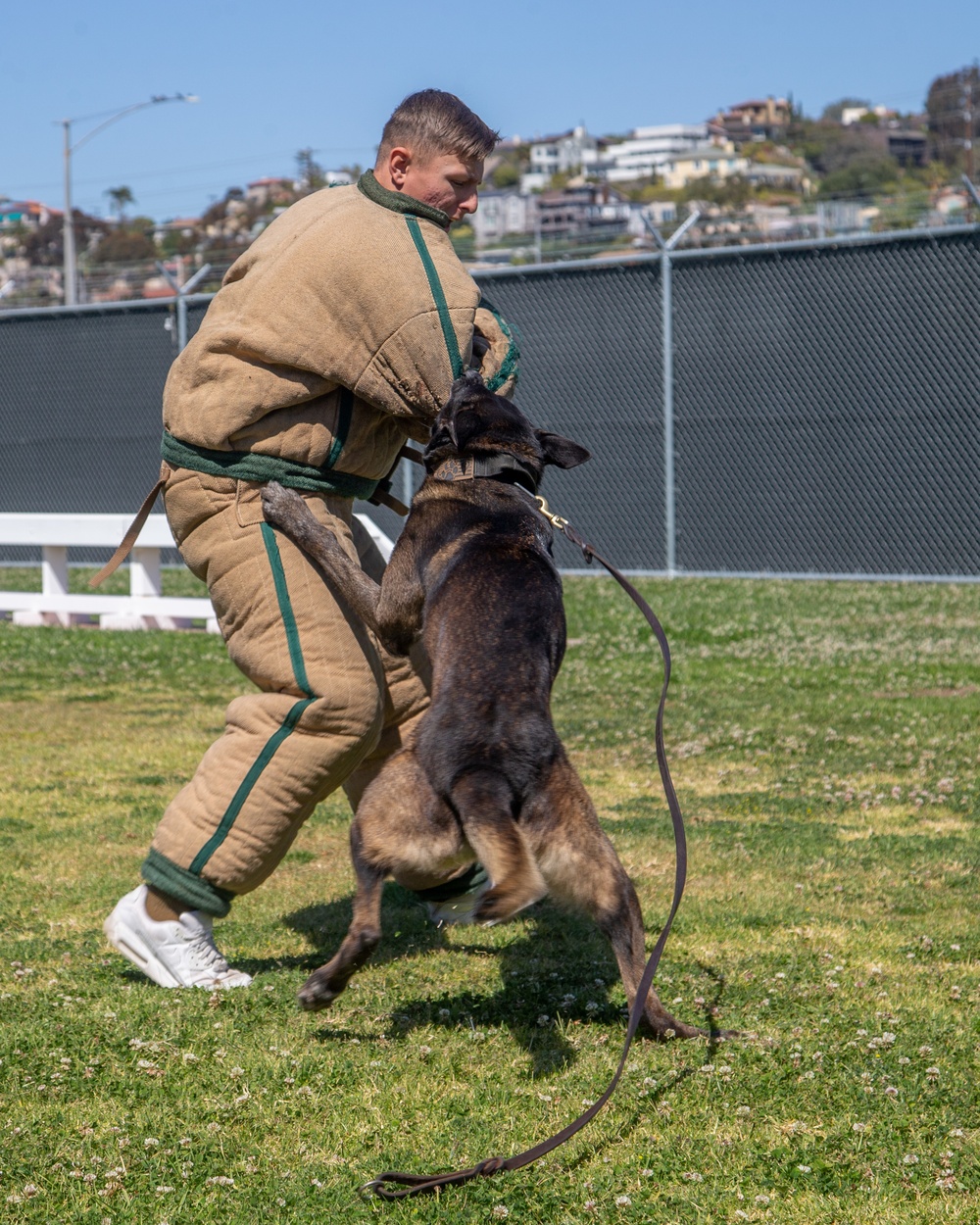 Marine Highlight - Military dog handler