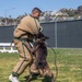 Marine Highlight - Military dog handler