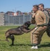 Marine Highlight - Military dog handler