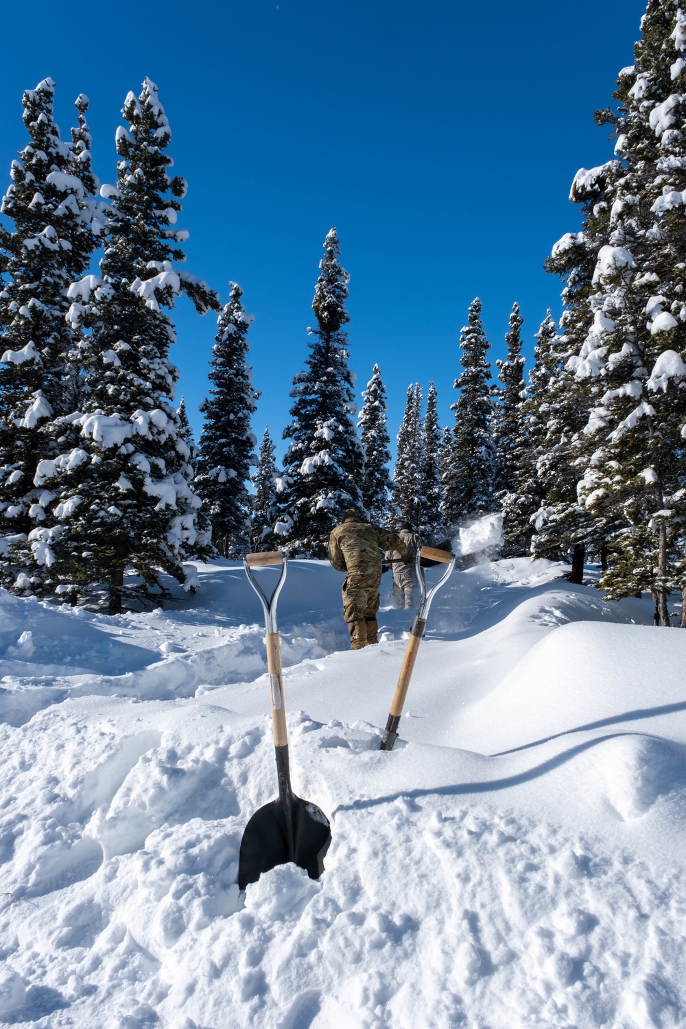 1-501st Parachute Infantry Regiment Digs Into Donnelly Training Area