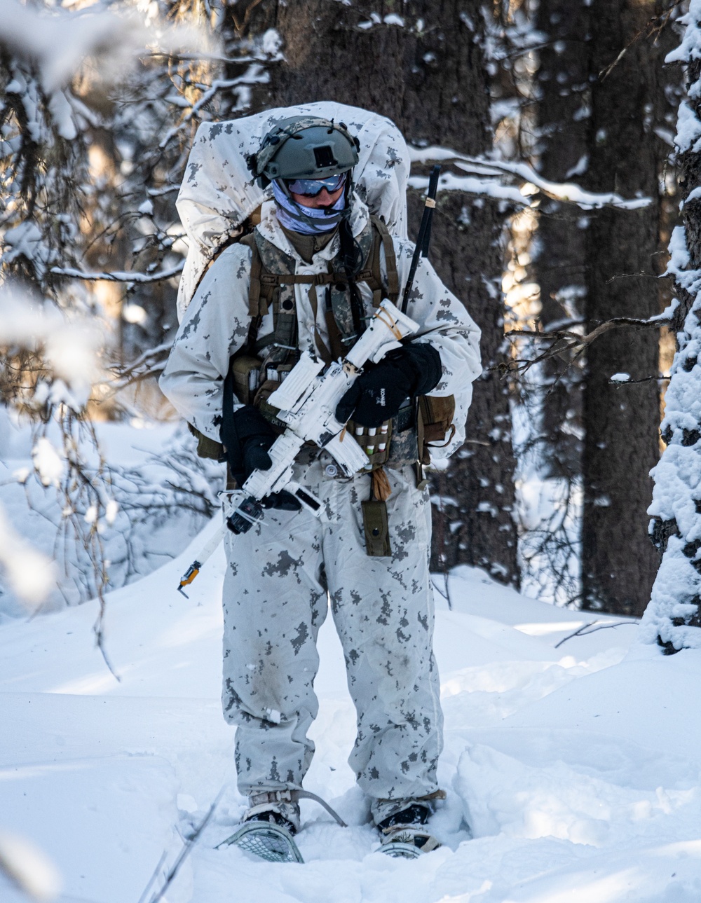 DVIDS - Images - Exercise Joint Pacific Multinational Readiness Center ...