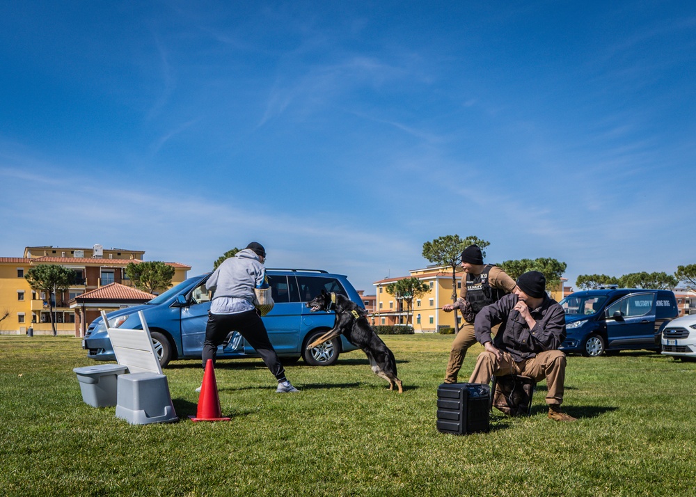 NSA Naples Celebrates K-9 Veterans Day