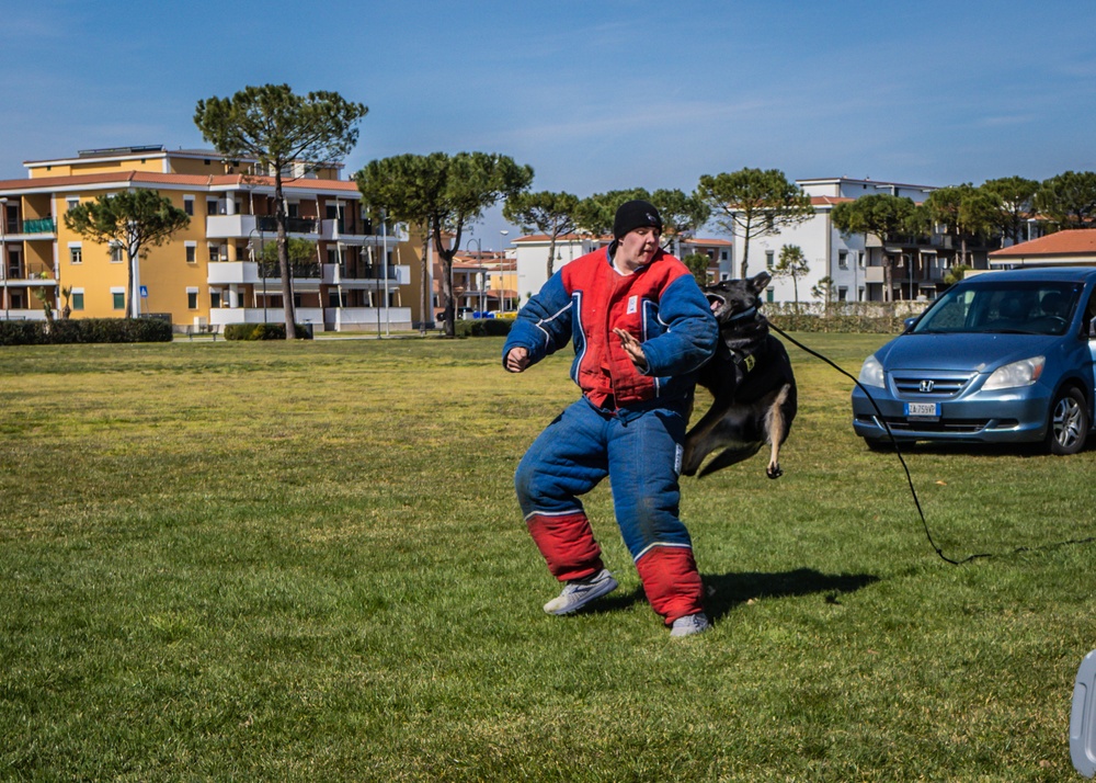 NSA Naples Celebrates K-9 Veterans Day
